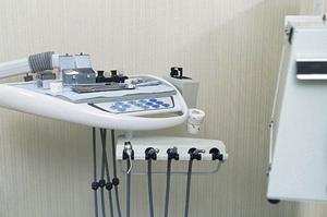 人間はもちろんペットの整体も可能です