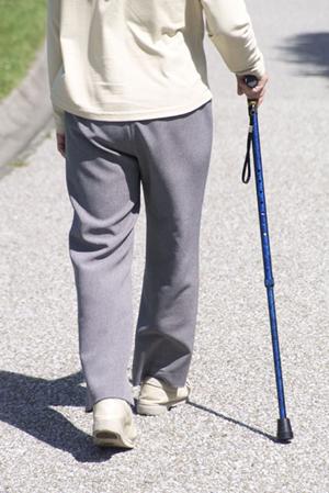 藤沢市で歯医者を探しているときには