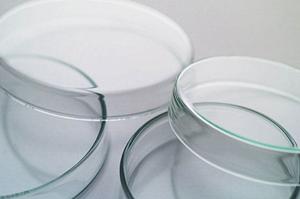 【2025年最新】尼崎市で選ばれる歯医者トップガイド｜通いやすさと最新技術を徹底比較