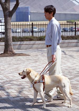 中之島で評判の歯医者を徹底比較！安心・丁寧な治療とアクセスの良さを重視した選び方